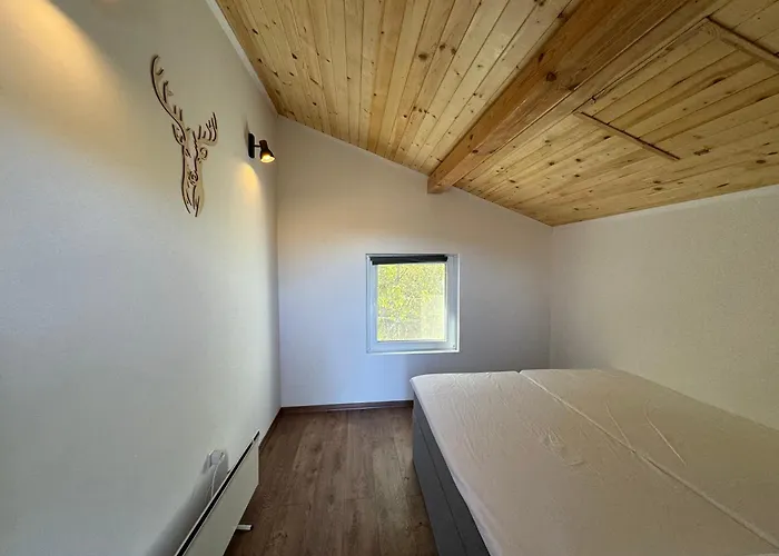 Mountain Ship 别墅 Dedovo