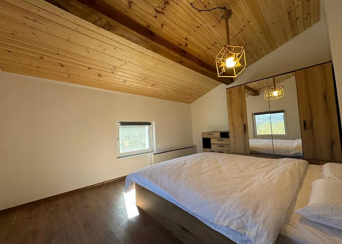 Mountain Ship 别墅 Dedovo