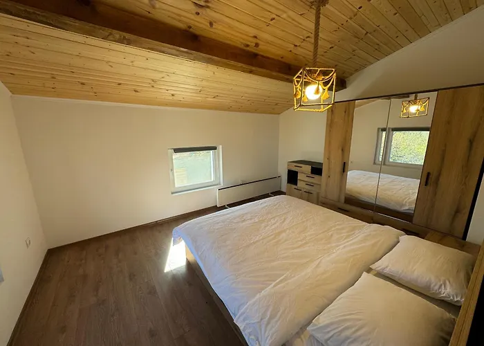 Mountain Ship * Dedovo